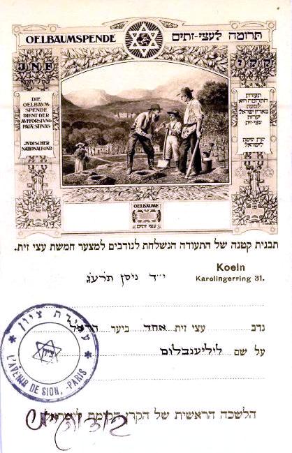 Document about olive tree donation of Lilienblum, 1913